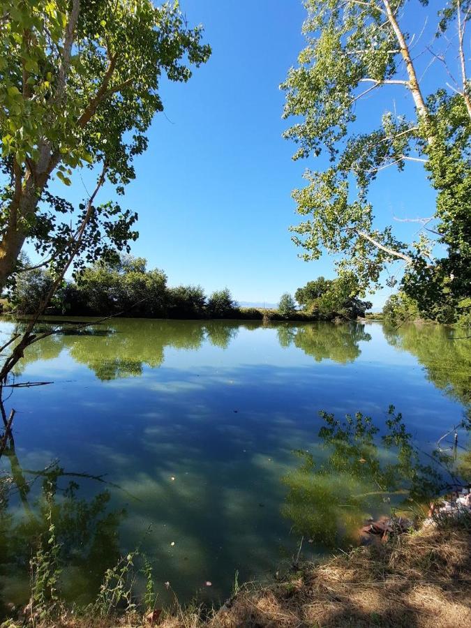 Apartament Demeure De Charme Mazères Zewnętrze zdjęcie